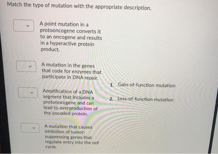 Solved Match the type of mutation with the appropriate | Chegg.com