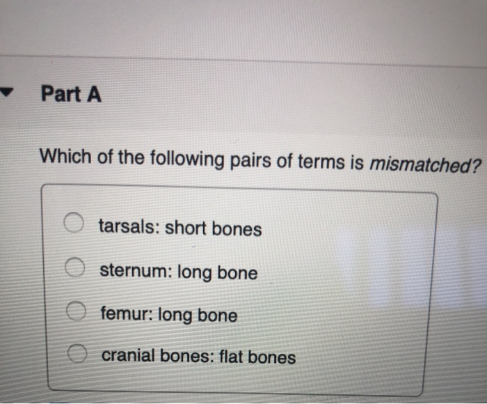 Which Of The Following Pairs Of Terms Are Opposites