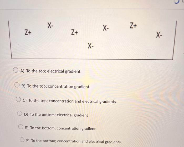 student submitted image, transcription available below