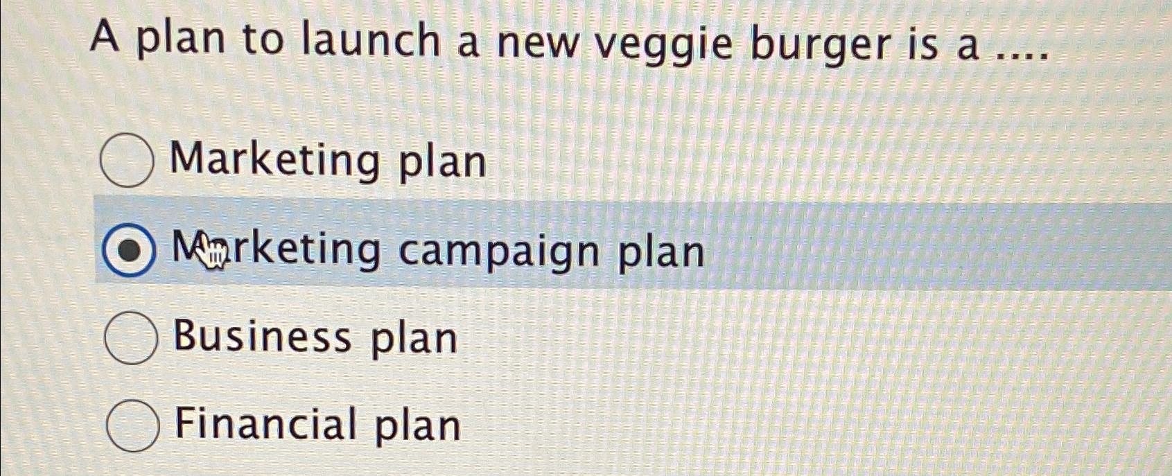 veggie burger business plan