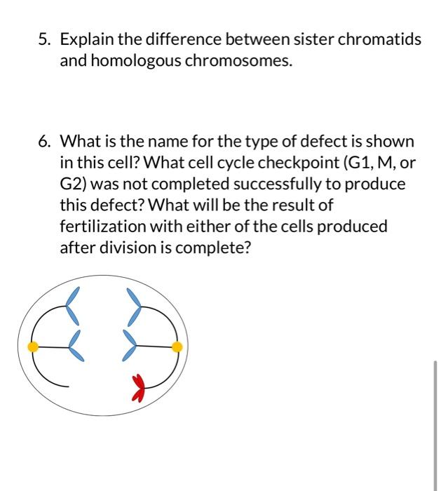Solved 5. Explain the difference between sister chromatids | Chegg.com