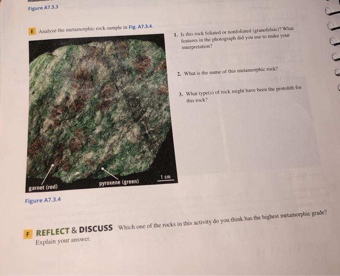 Solved Figure A7.3.3 E Analyze the metamorphic rock sample | Chegg.com