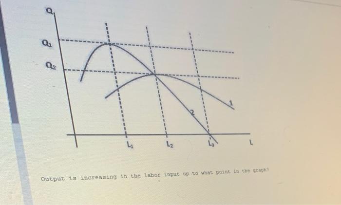 Solved Output is increasing in the labor input up to what | Chegg.com