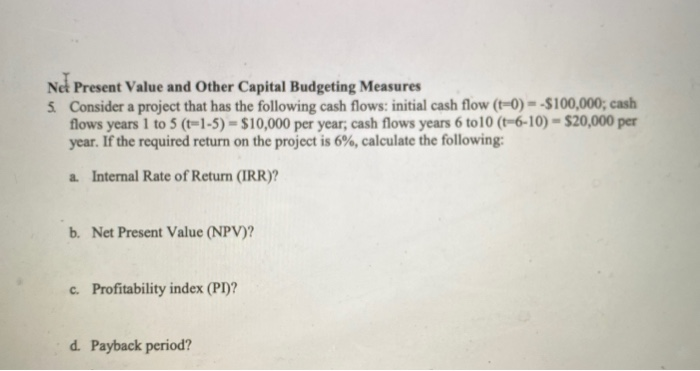 Solved Ne Present Value and Other Capital Budgeting Measures | Chegg.com