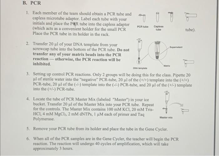 Solved finding the Alu sequnce lab. i have attached the | Chegg.com