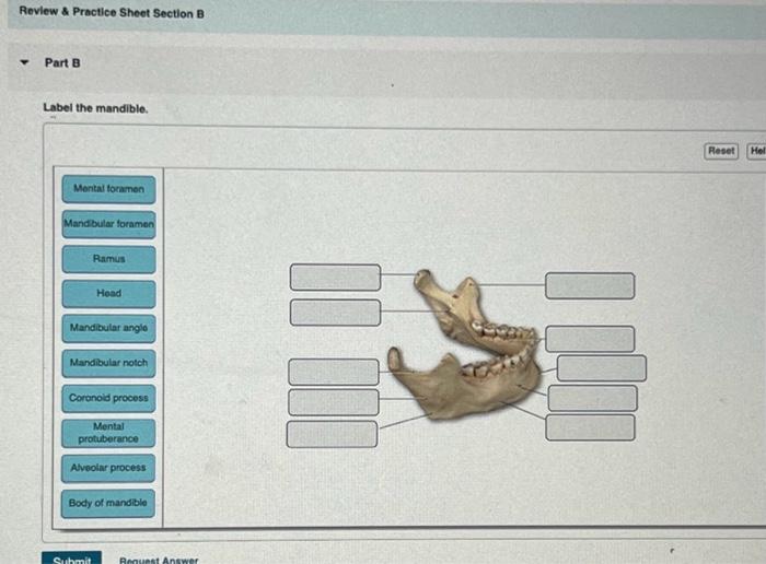 Solved Revlew \& Practice Sheet Section B Part B Label the | Chegg.com
