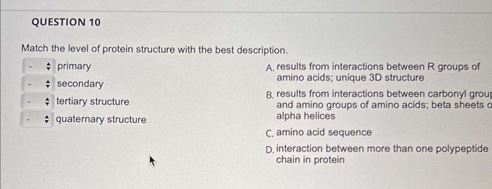 Solved QUESTION 10Match the level of protein structure with | Chegg.com