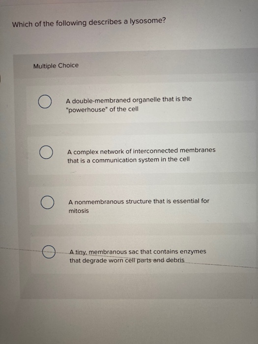 Solved Which Of The Following Describes A Lysosome Multiple Chegg