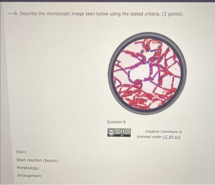Solved 8 . Describe the microscopic image seen below using | Chegg.com