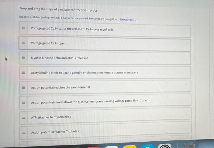 Solved Drop and drag the steps of a muscle contraction in | Chegg.com