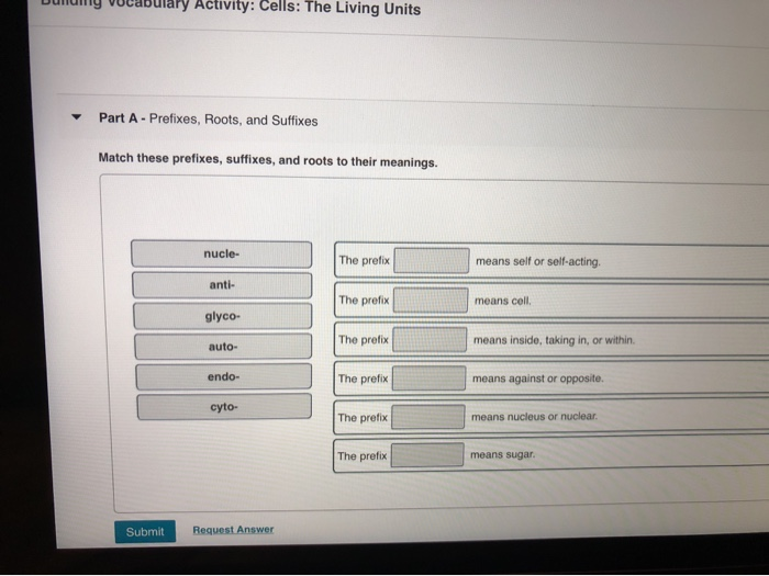 Solved Dummy Vocabulary Activity Cells The Living Units Chegg Com
