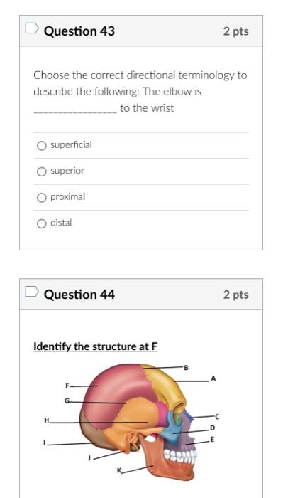 Choose the correct directional terminology to describe the following: The elbow is to the wrist
superficial
superior
proximal