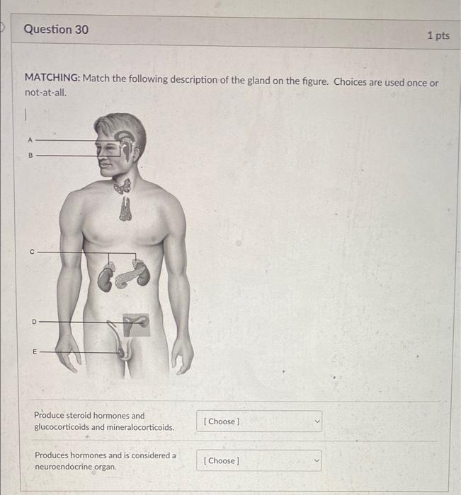 Solved Question 30 1 pts MATCHING Match the following