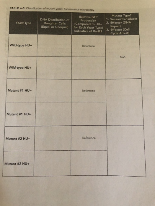 Mutant Classifications TABLE 6-3 Classification of mutant yeast, | Chegg.com