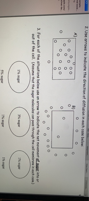 Solved 2. Use arrows to indicate the direction of diffusion | Chegg.com