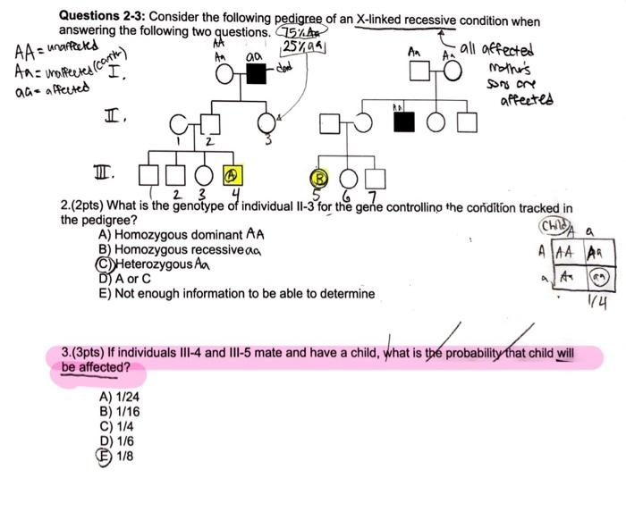 Solved Questions 2-3: Consider The Following Pedigree Of An | Chegg.com