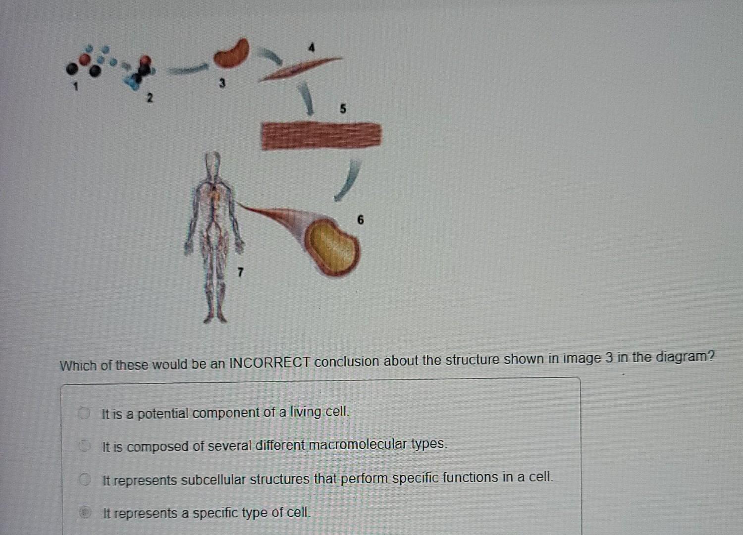 solved-which-of-these-would-be-an-incorrect-conclusion-about-chegg