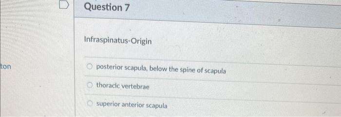 Infraspinatus-Origin posterior scapula, below the spine of scapula thoracic vertebrae superior anterior scapula