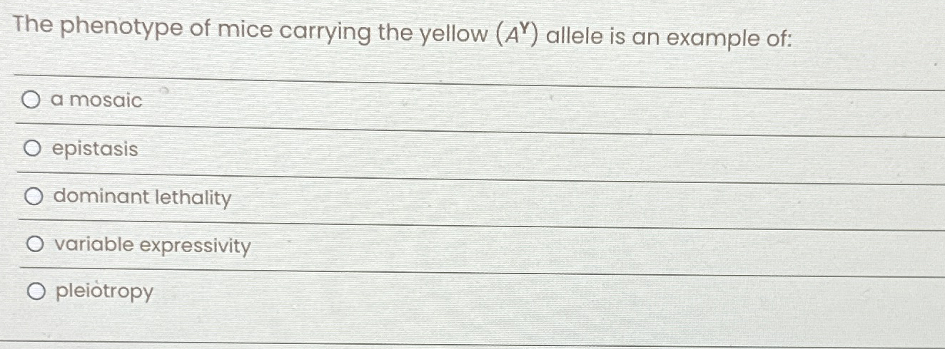 Solved The phenotype of mice carrying the yellow (A⋎) | Chegg.com