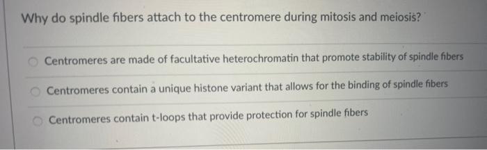 Solved Why do spindle fibers attach to the centromere during Biology Diagrams