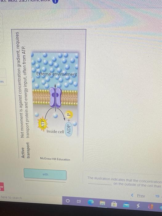 Solved The figure below depicts the transport of molecules | Chegg.com