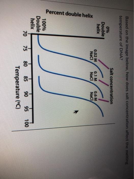 how-does-concentration-affect-enzyme-activity