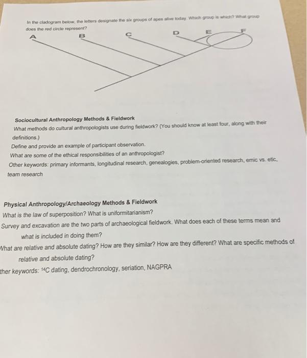 Solved Unit 1 Study Guide ANTH 101 Introduction/What is | Chegg.com