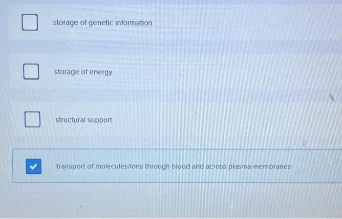 storage of genetic information
storage of energy
structural support
transport of molecules/ions through blood and across plas