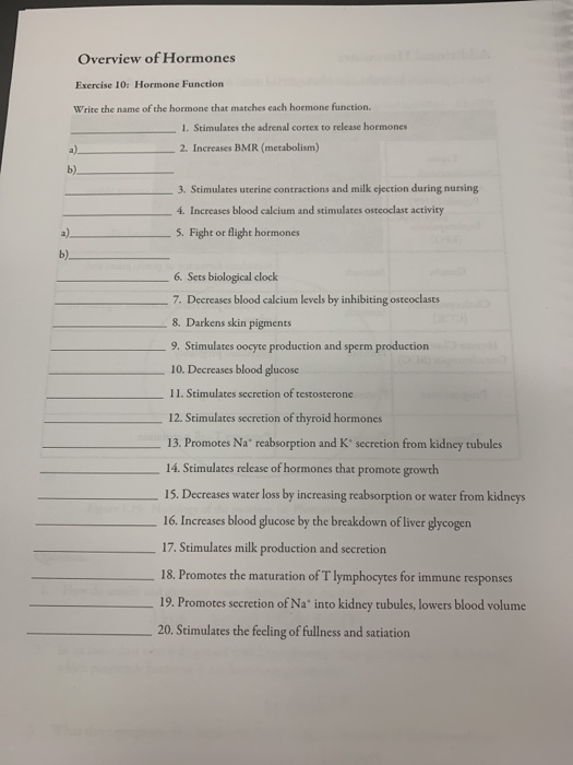 Solved: Overview Of Hormones Exercise 10: Hormone Function... | Chegg.com