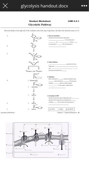 Hey There, Please Help Me Answer This Worksheet. I... | Chegg.com