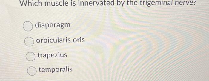 Solved Which muscle is innervated by the trigeminal nerve Chegg