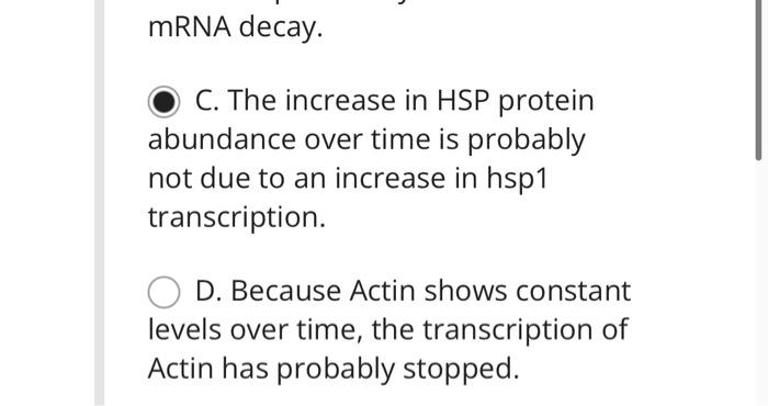 mRNA decay.
C. The increase in HSP protein abundance over time is probably not due to an increase in hsp1 transcription.
D. B