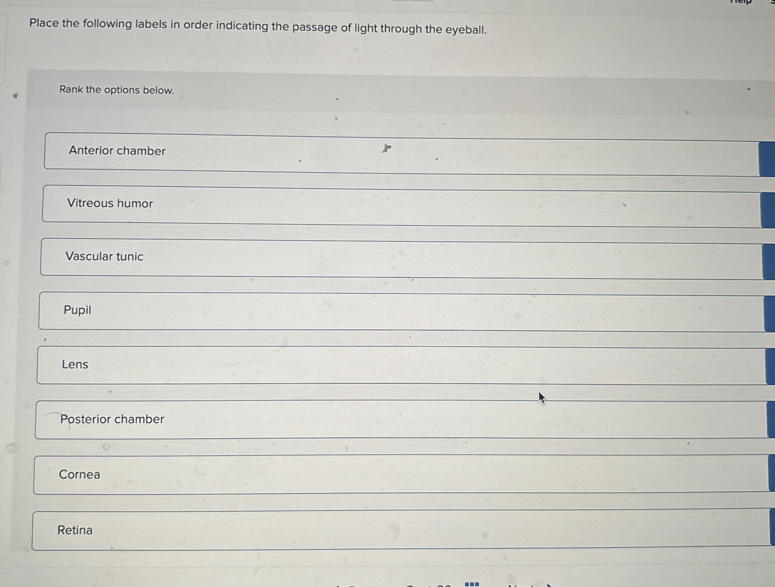 Solved Place the following labels in order indicating the | Chegg.com