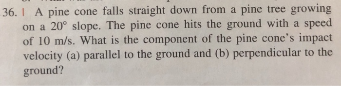 Solved 36 A Pine Cone Falls Straight Down From A Pine Chegg