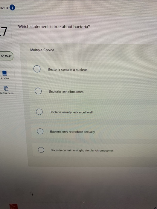 Solved Xam A Which Statement Is True About Bacteria? | Chegg.com Solved Xam A Which Statement Is True About Bacteria? | Chegg.com