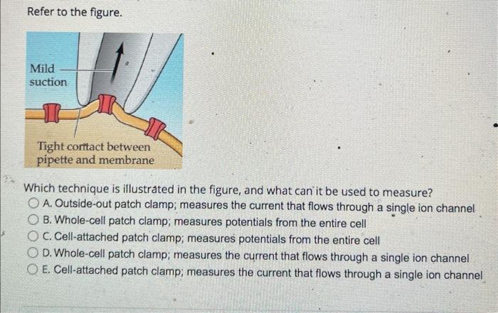 Solved Refer to the figure. Which technique is illustrated | Chegg.com