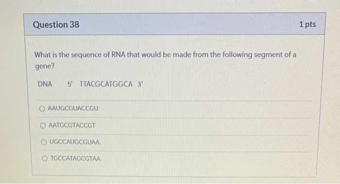 Solved Question 38 1 pts What is the sequence of RNA that | Chegg.com