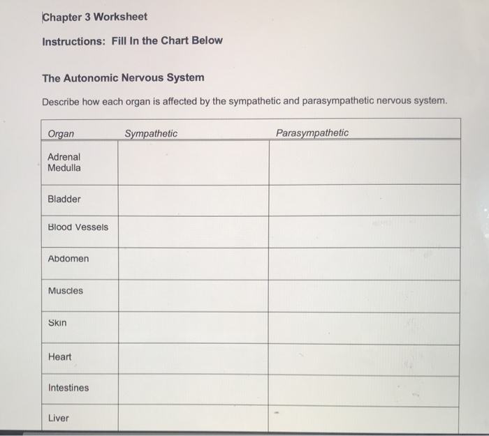 Solved Chapter 3 Worksheet Instructions: Fill in the Chart | Chegg.com