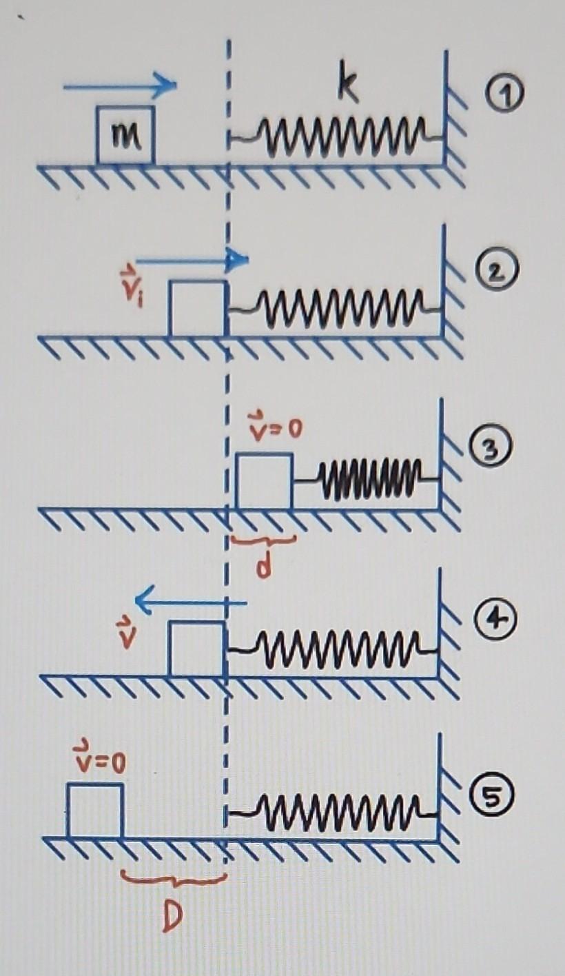 Solved 3.1) A mass m = 2 kg moves to the right and collides | Chegg.com