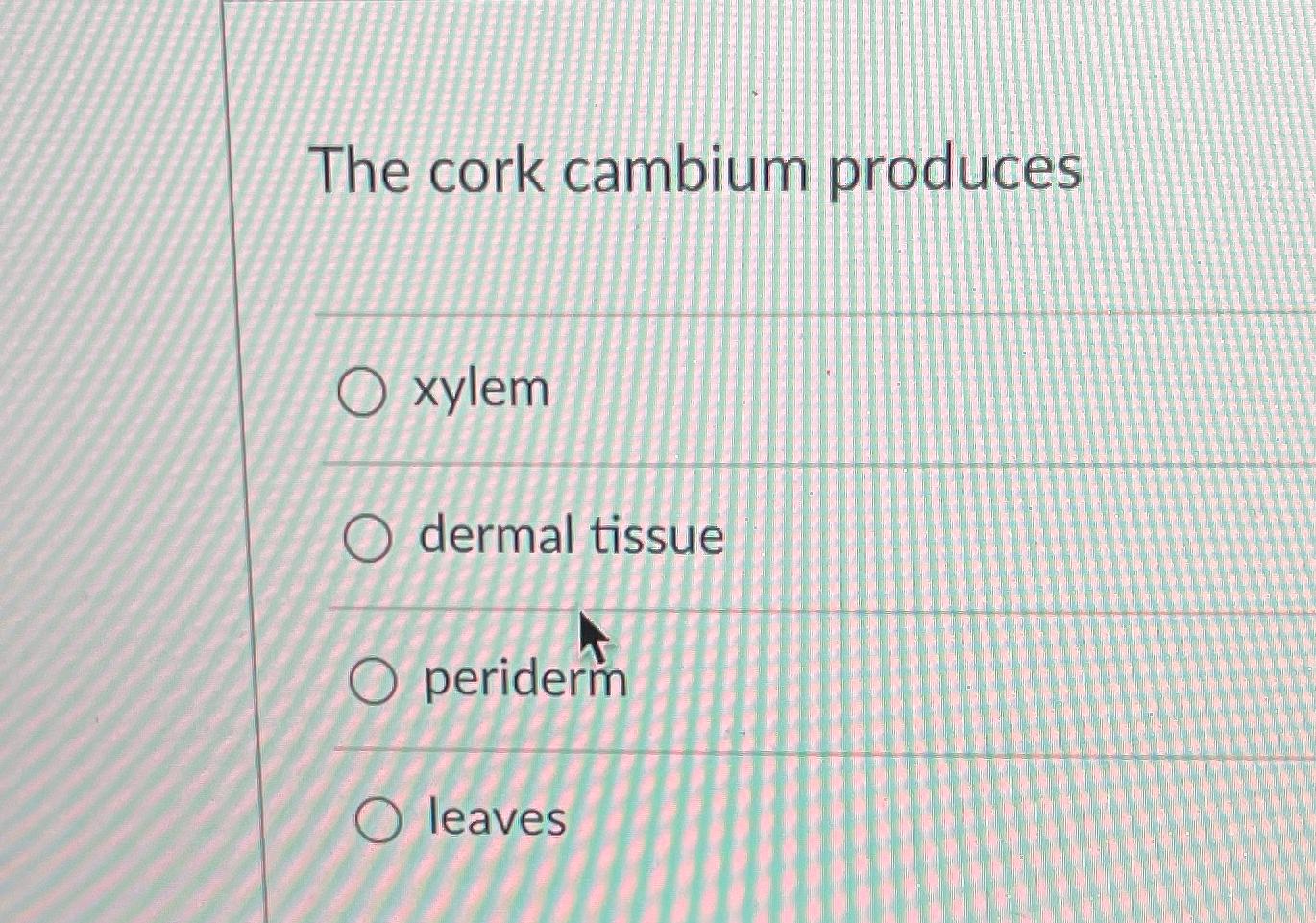 The cork cambium producesxylemdermal