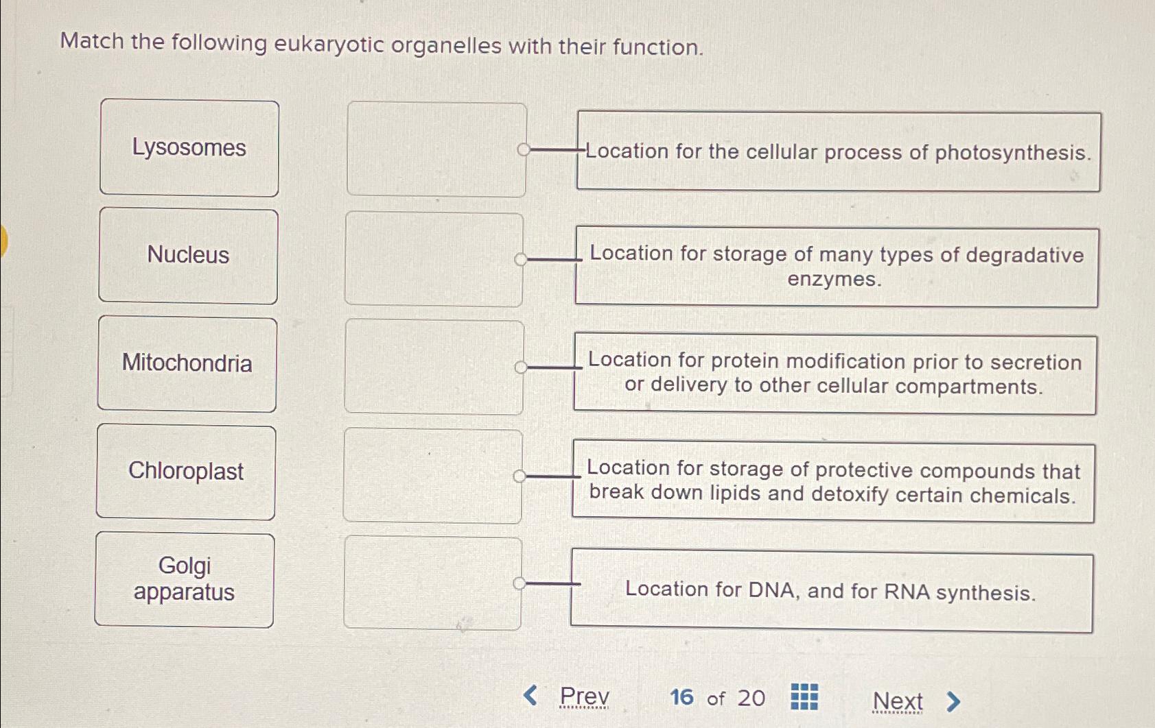 Solved Match the following eukaryotic organelles with their | Chegg.com