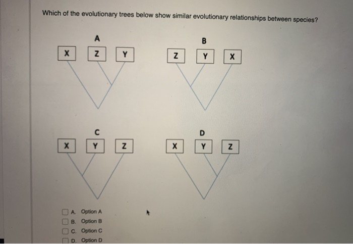 Solved: Which Of The Evolutionary Trees Below Show Similar... | Chegg.com