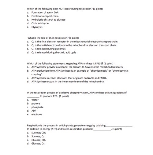 Which Of The Following Does Not Occur During Translation Termination Step