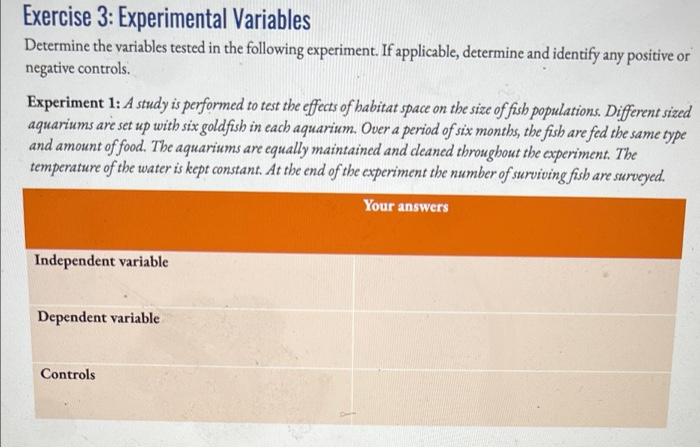 exercise 3 experimental variables