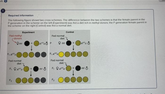 Solved LATE Required information The following figure shows | Chegg.com
