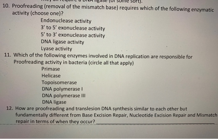 Solved My Milyuncu DNA Ngase UI Sume Sort). 10. Proofreading | Chegg.com