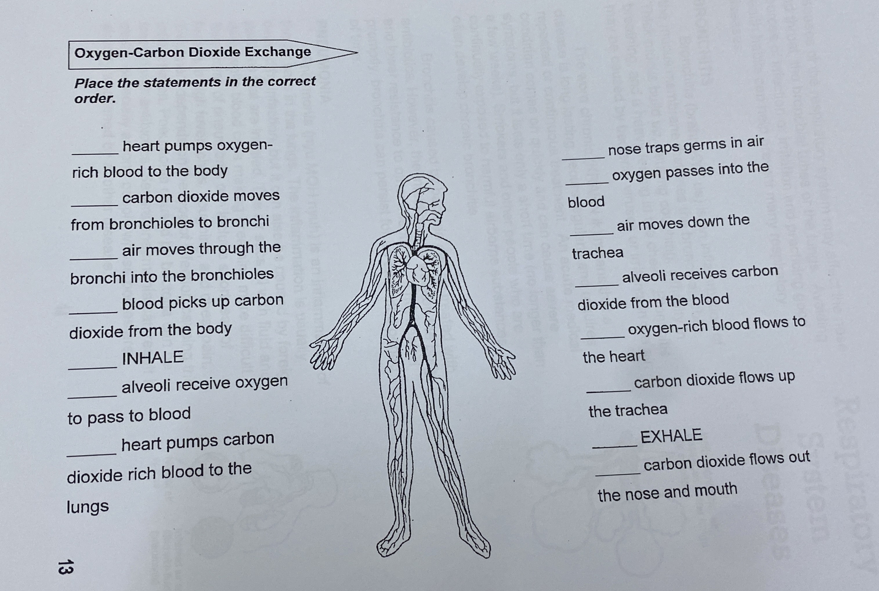 Solved OxygenCarbon Dioxide ExchangePlace the statements in