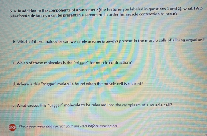 Solved: 5. A. In Addition To The Components Of A Sarcomere... | Chegg.com