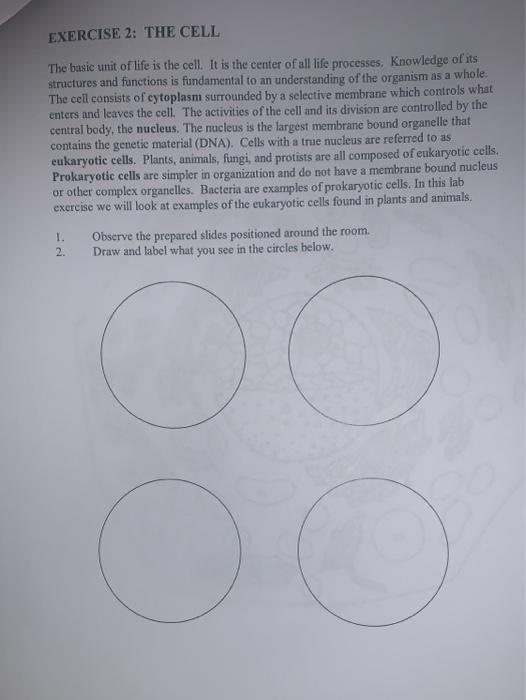 Solved EXERCISE 2: THE CELL The basic unit of life is the | Chegg.com