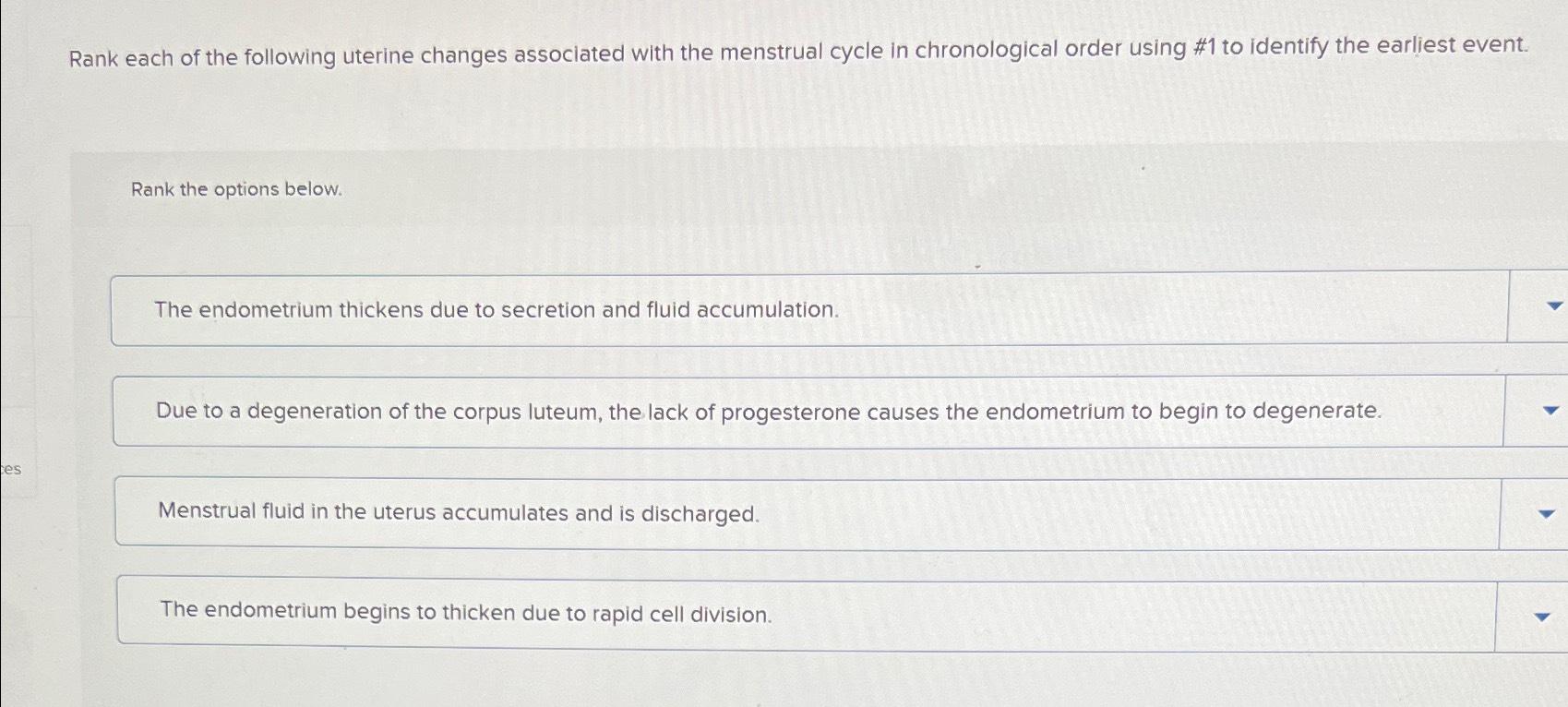 Solved Rank each of the following uterine changes assoclated | Chegg.com